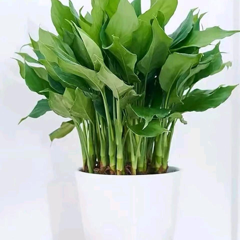 70后兵妈妈2019.9.10时尚潮服装