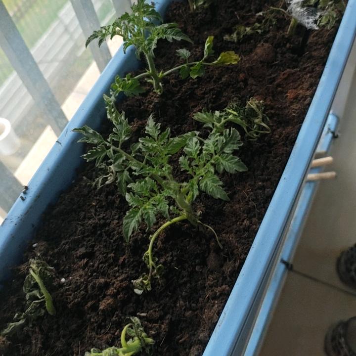 小塘哥生态休闲农庄