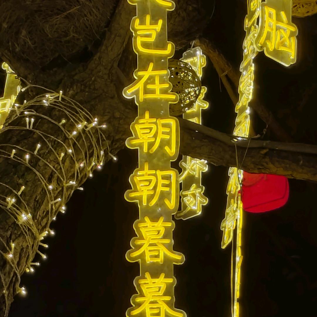 草原之狼哥