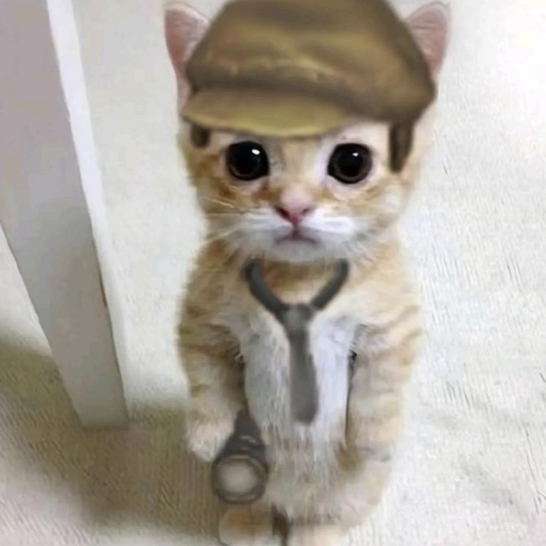 yiyiyi