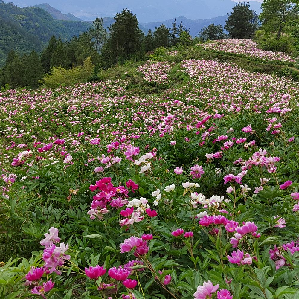 旧年代づ