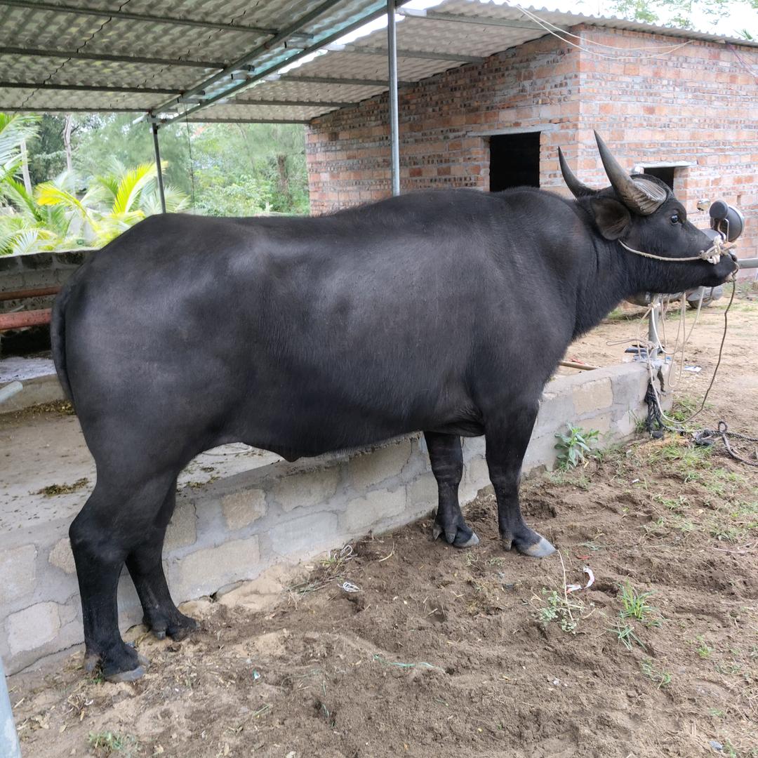 南门大路牛兴牛肉店