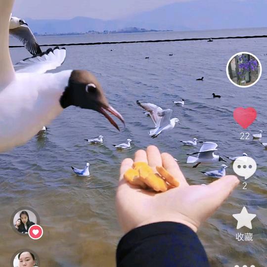 莹洁