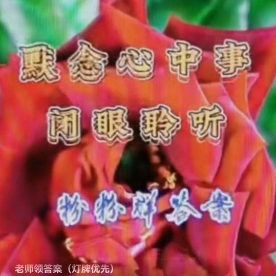 老师傅