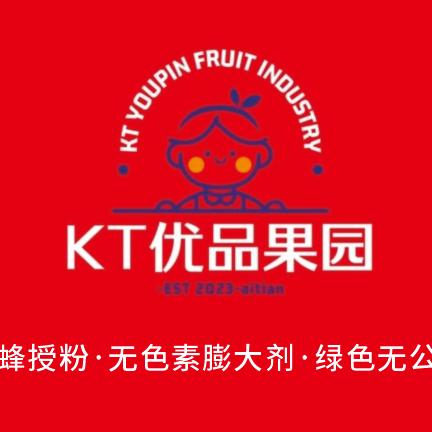 KT优品