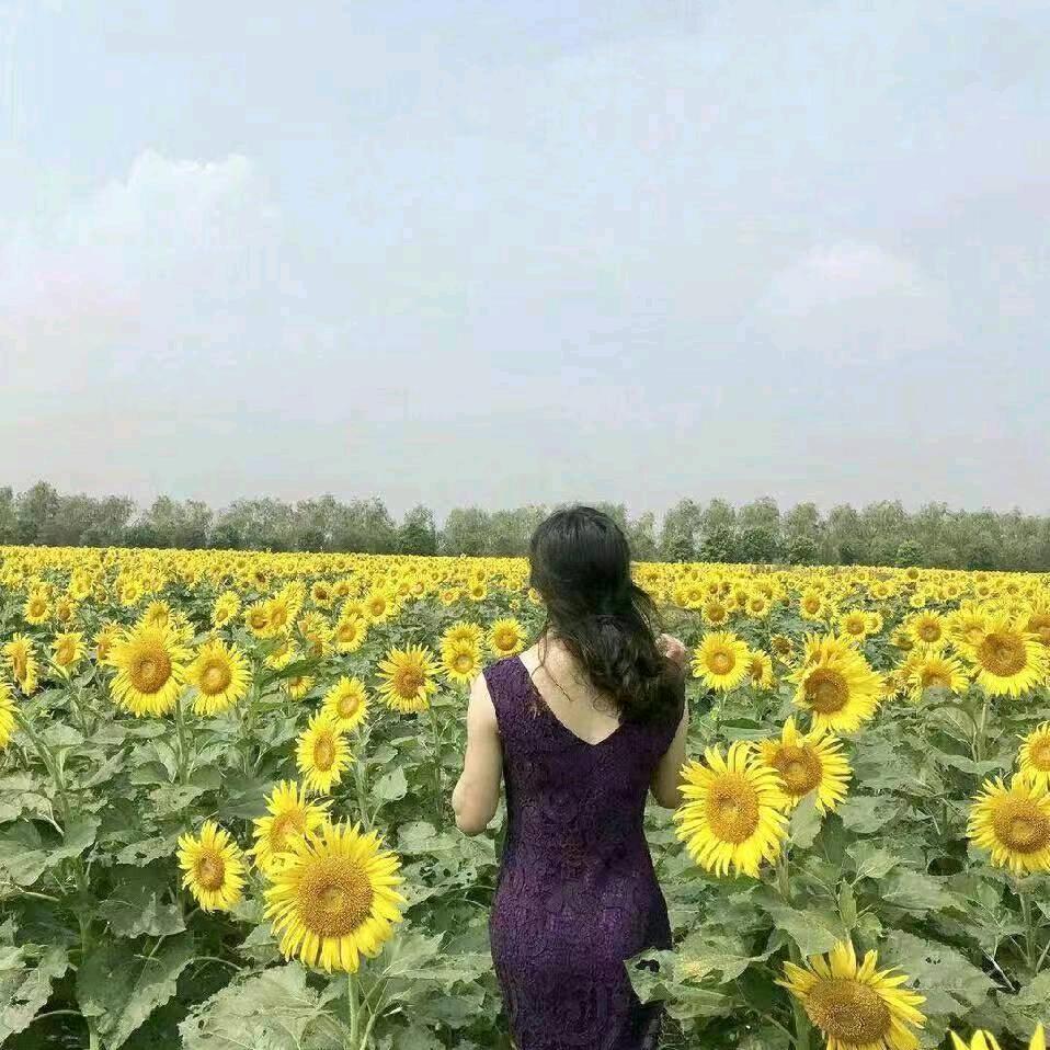 铁果门大酒店、红建车城