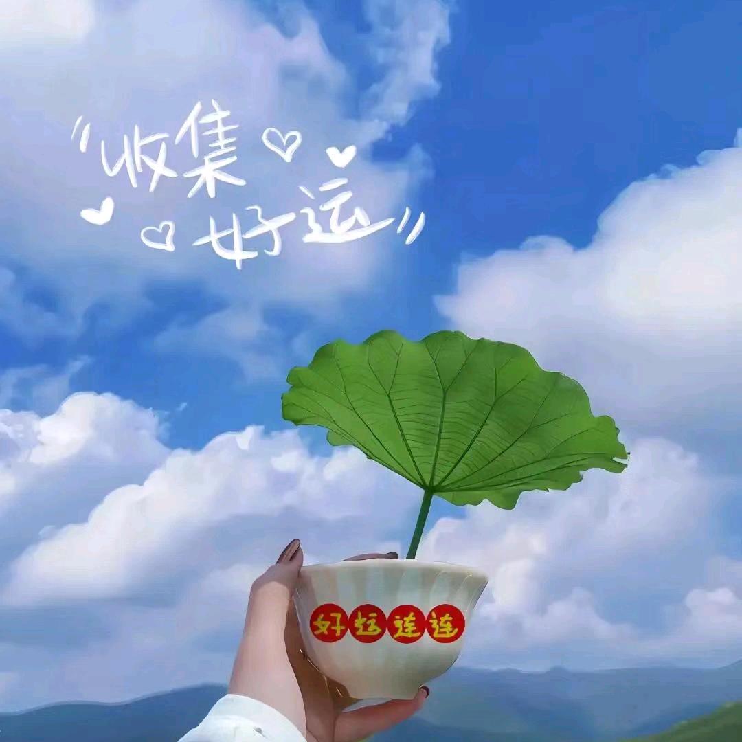 晴书公益