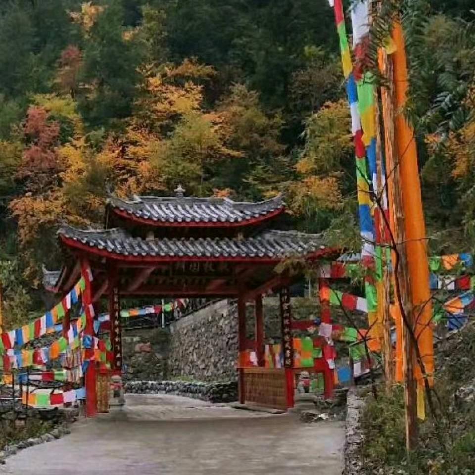 阿宝（兰花花）