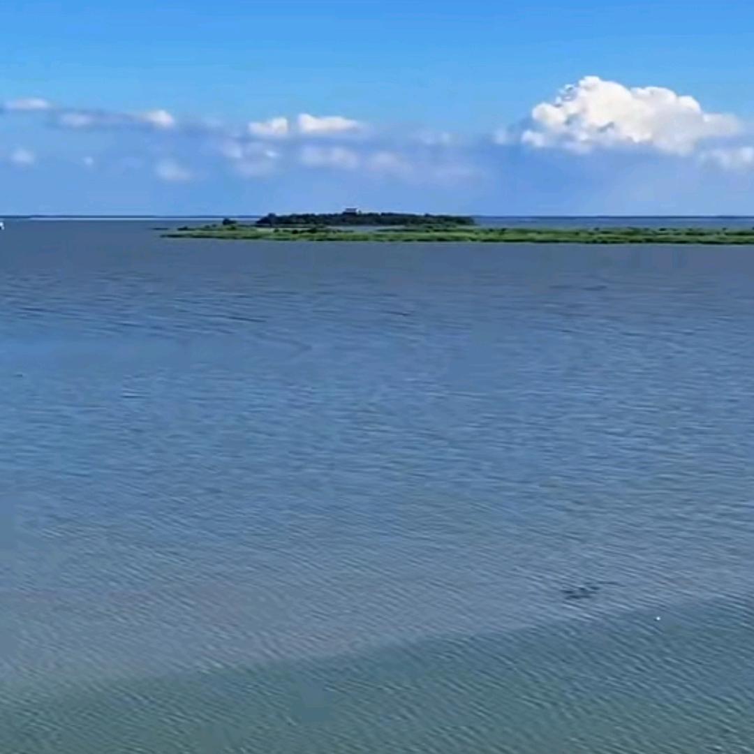 聆听浮华的忧伤