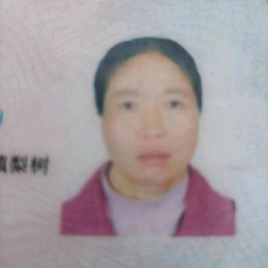 春梅