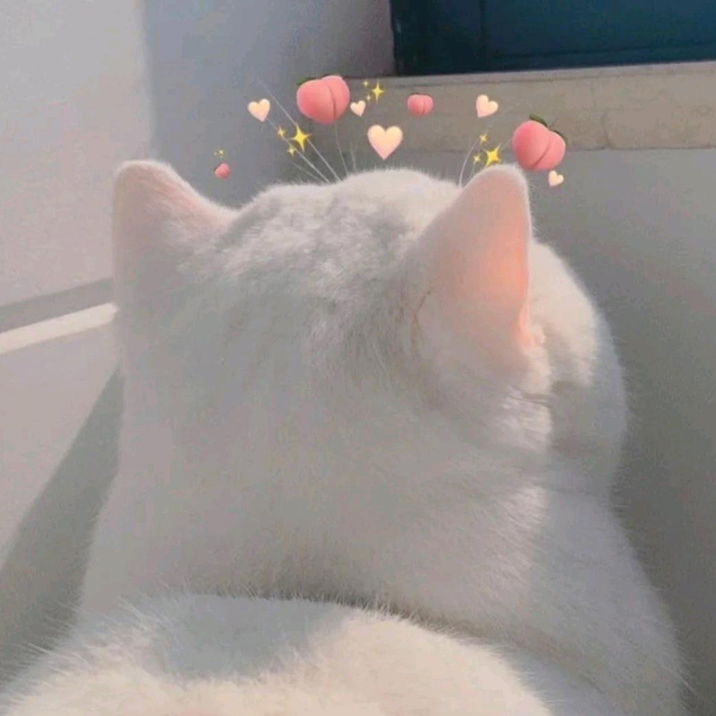 泡芙崽崽吹泡泡