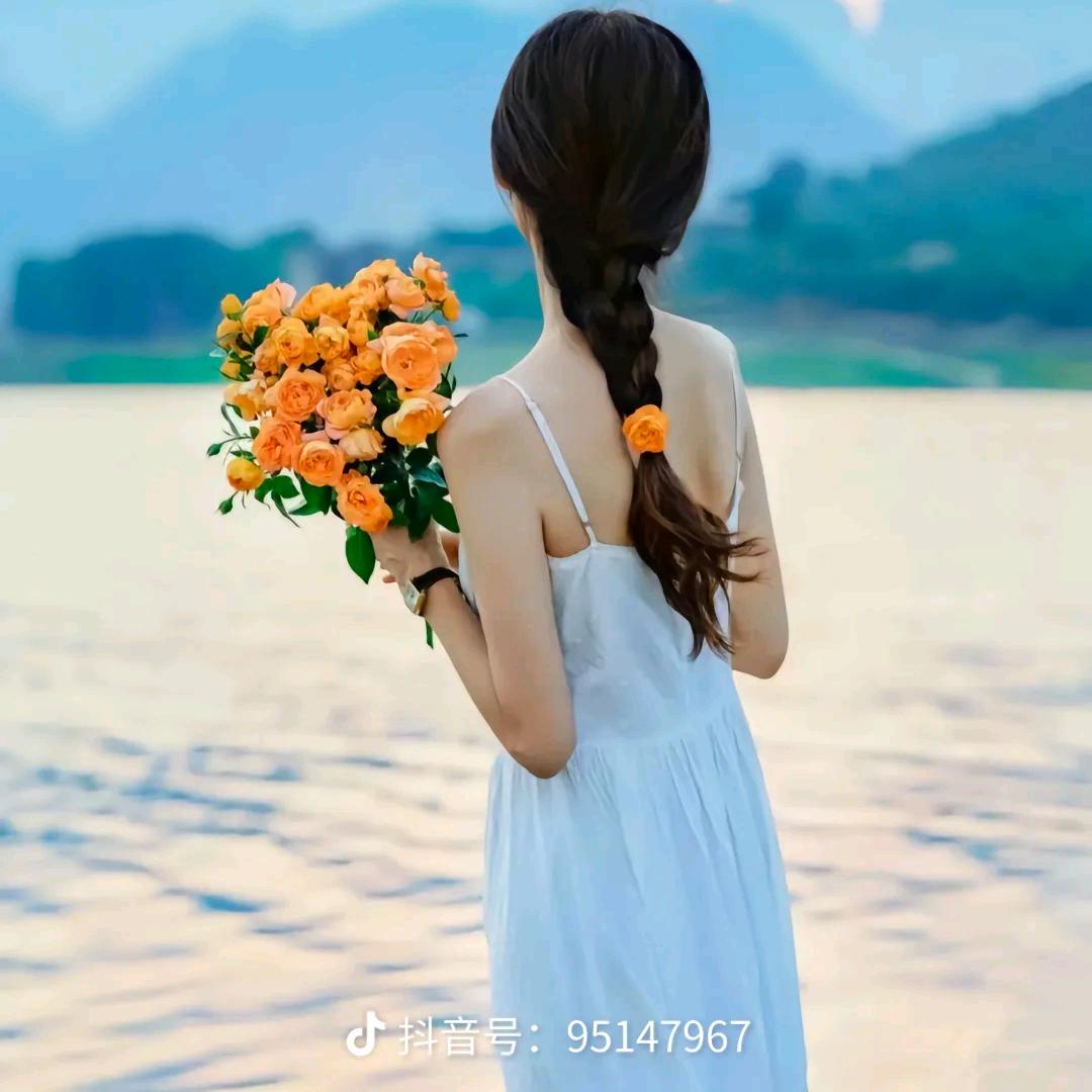 🌺🌺