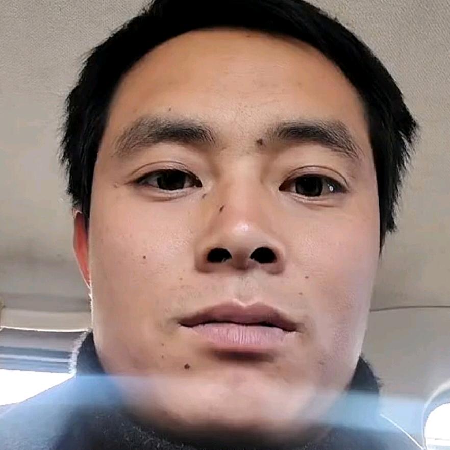 自由的风