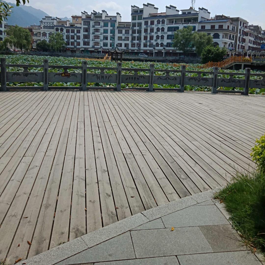 源来玫想我