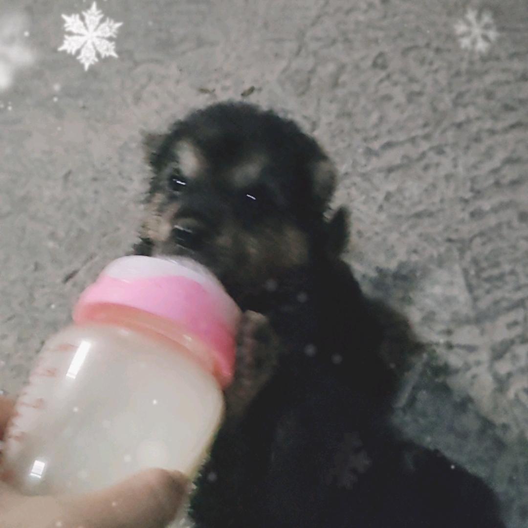 权权妈