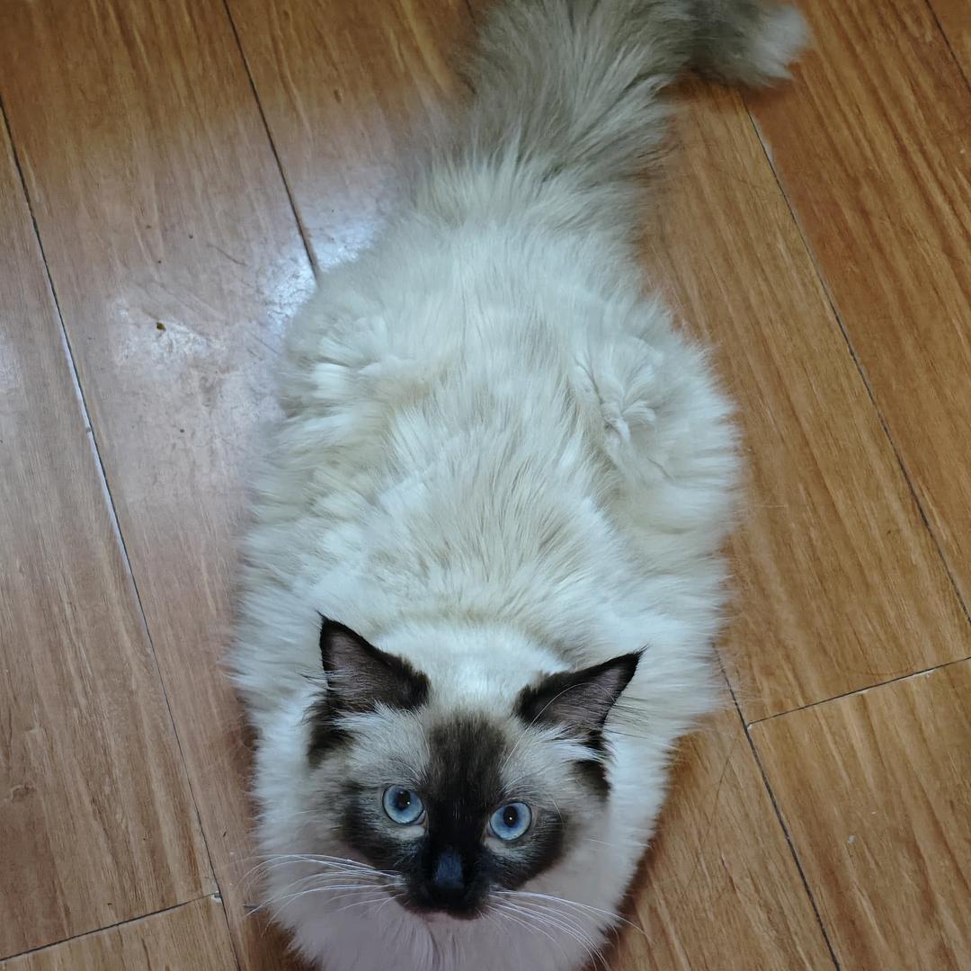 高四生的一年