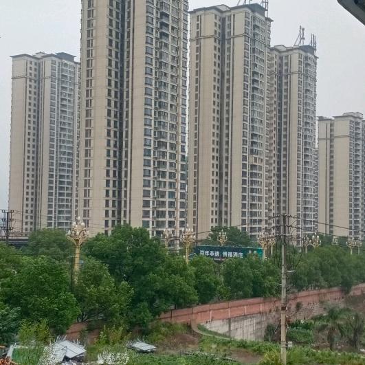 情深深