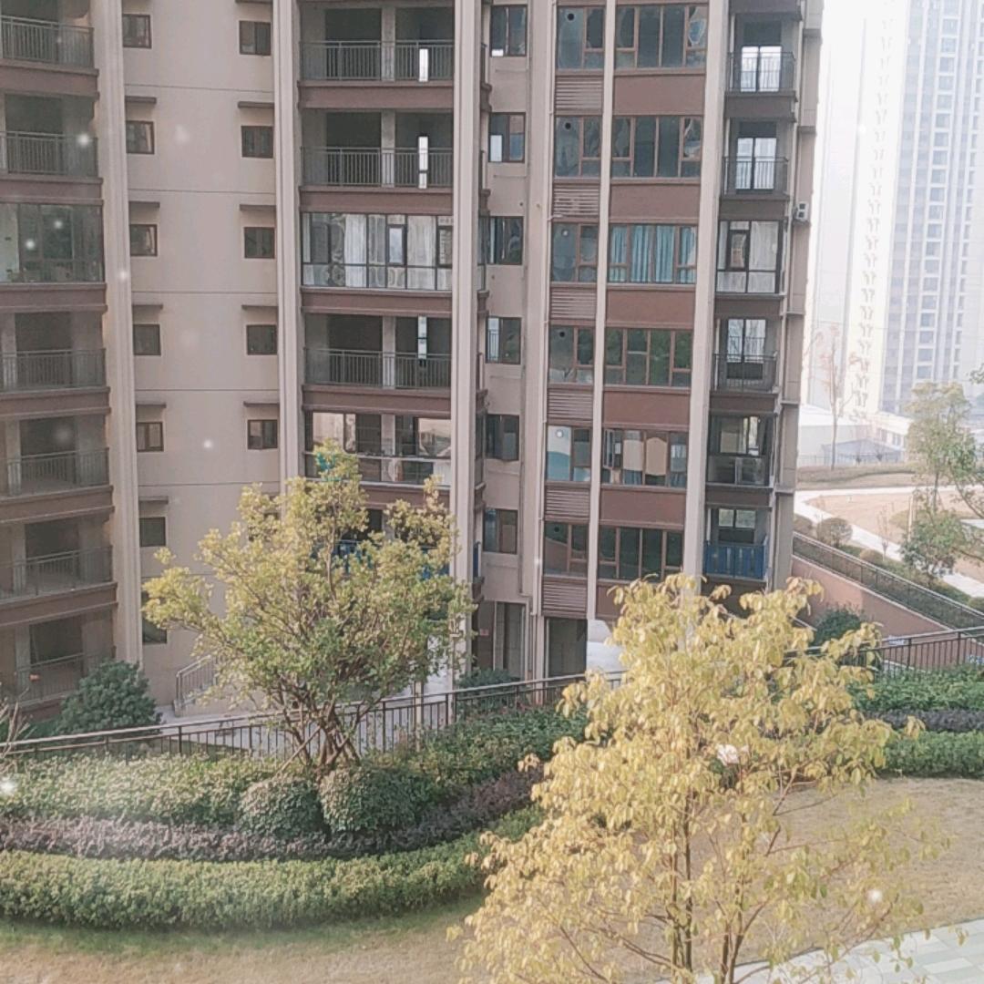 顺其自然过🌺🌲🌲