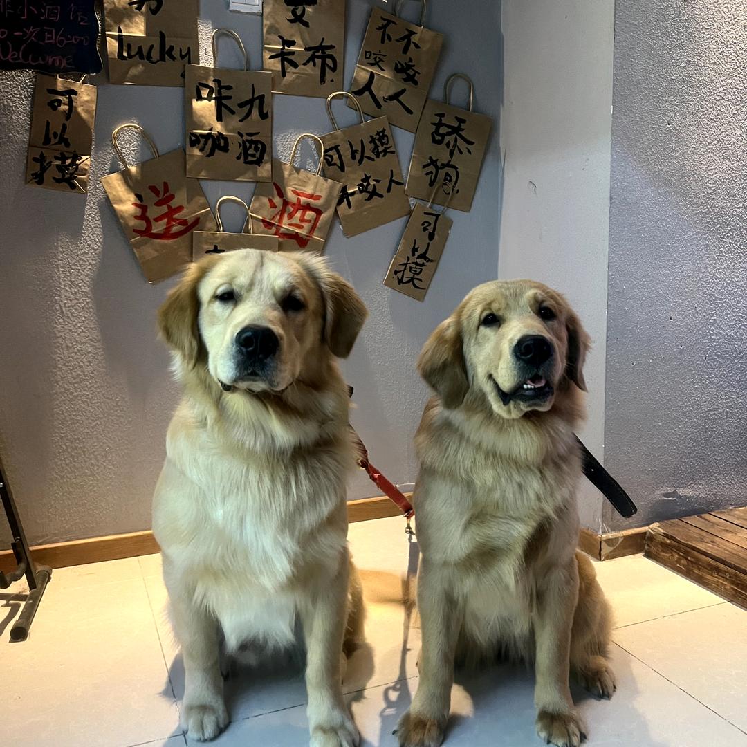 咔九的咖酒日记