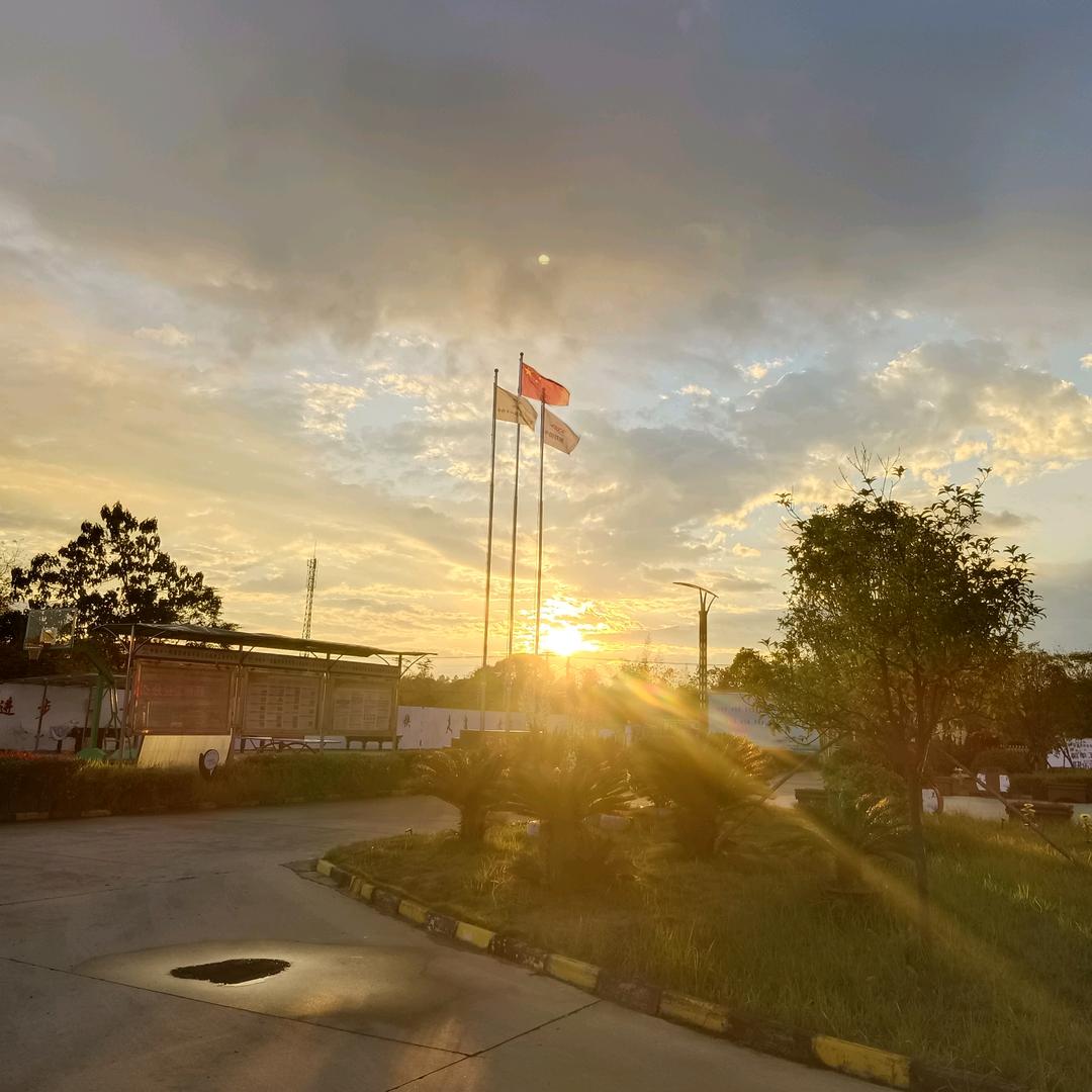 🌈一夜醒来暴富🌈