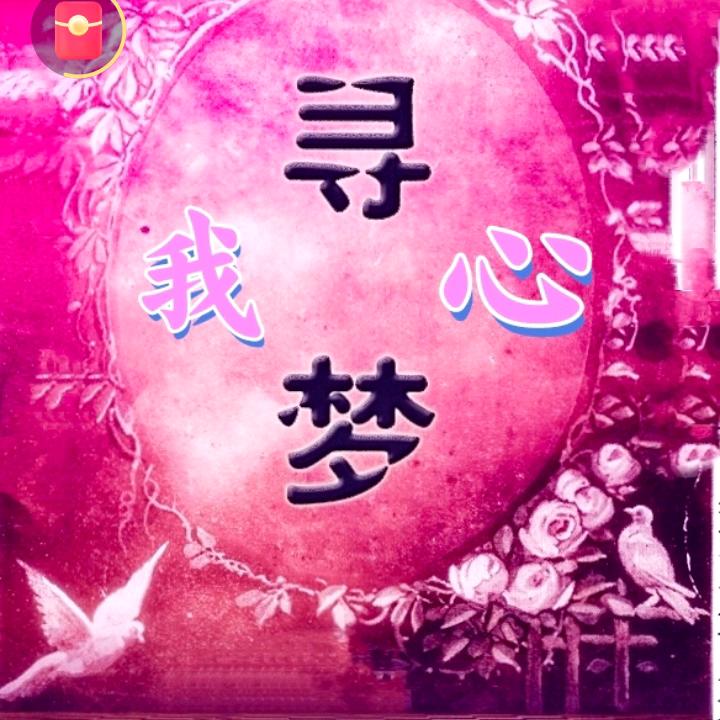 踏梅寻梦