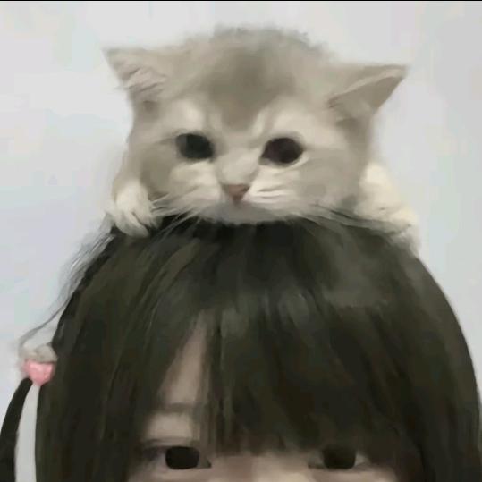 你闻起来苦苦的