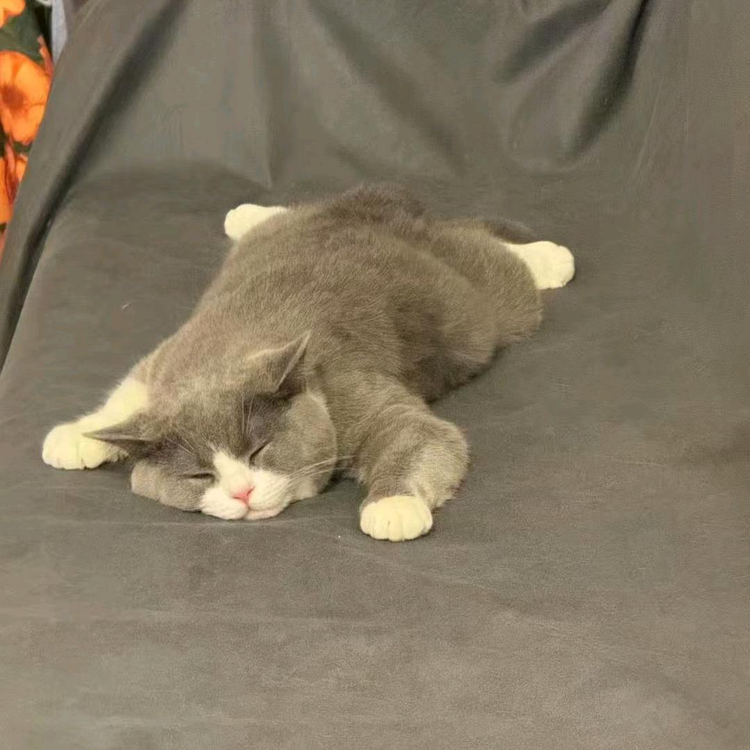 It's ok