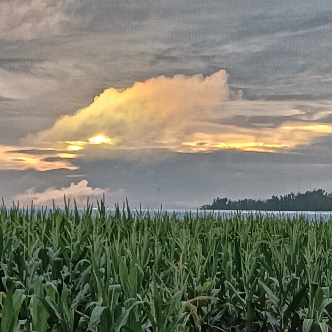 余生有你（米）