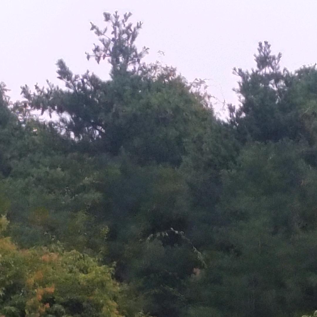 🌸🍀醉了这一生🌷🌹