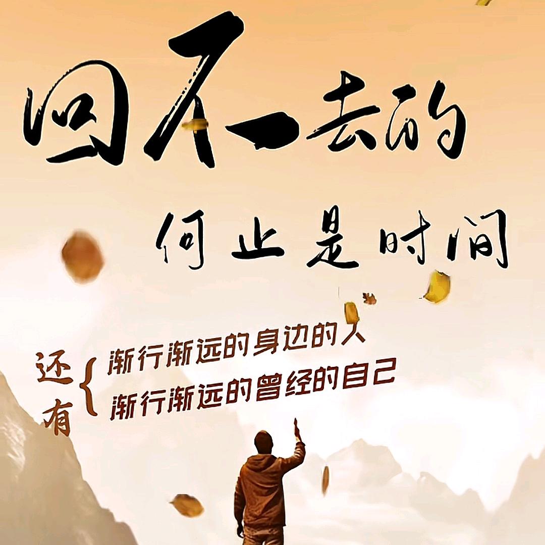 封心不说爱