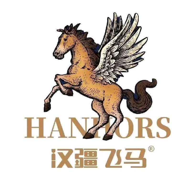 汉疆飞马官方