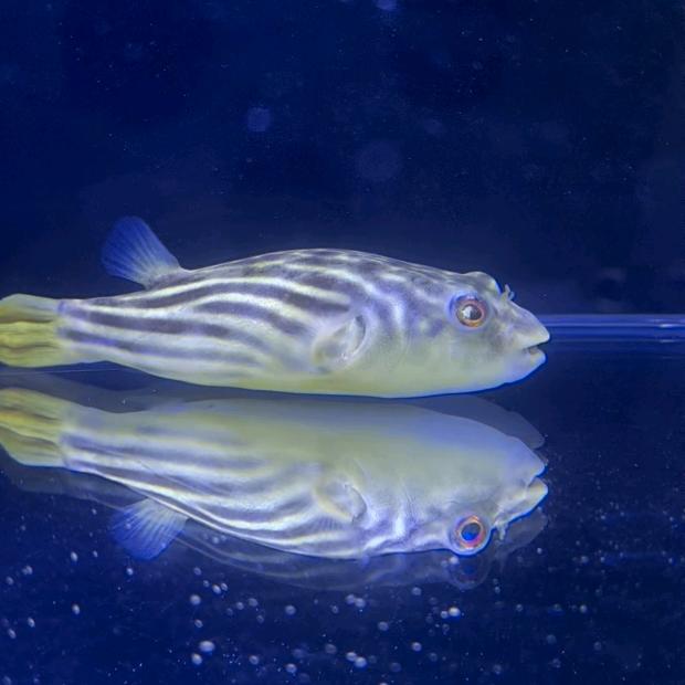 澧县当市西街电信手机宽带电视