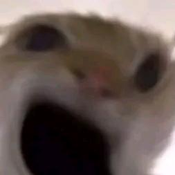 悲伤白斩🐔(猛攻版)