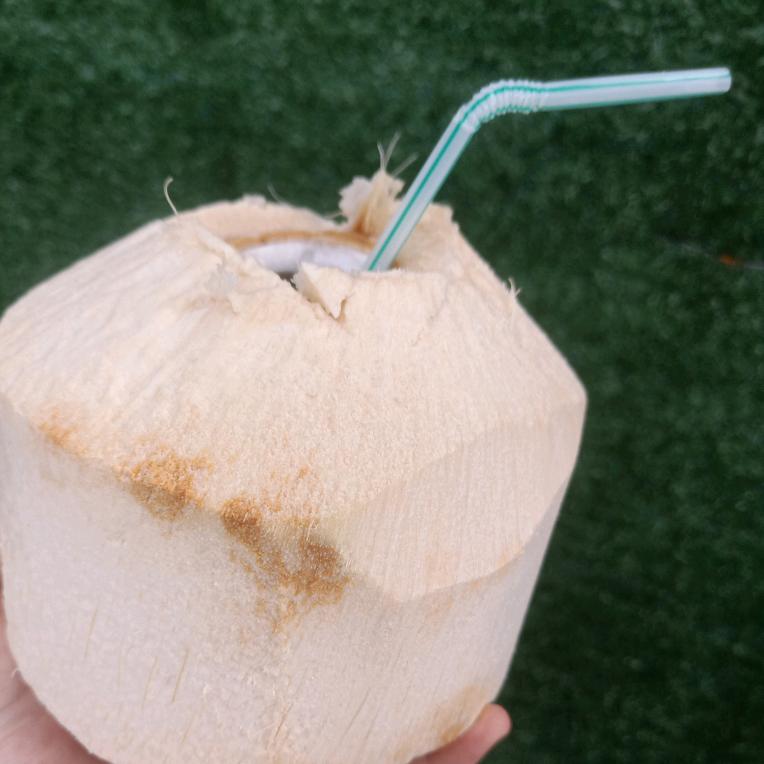 椰子會實監你到永遠