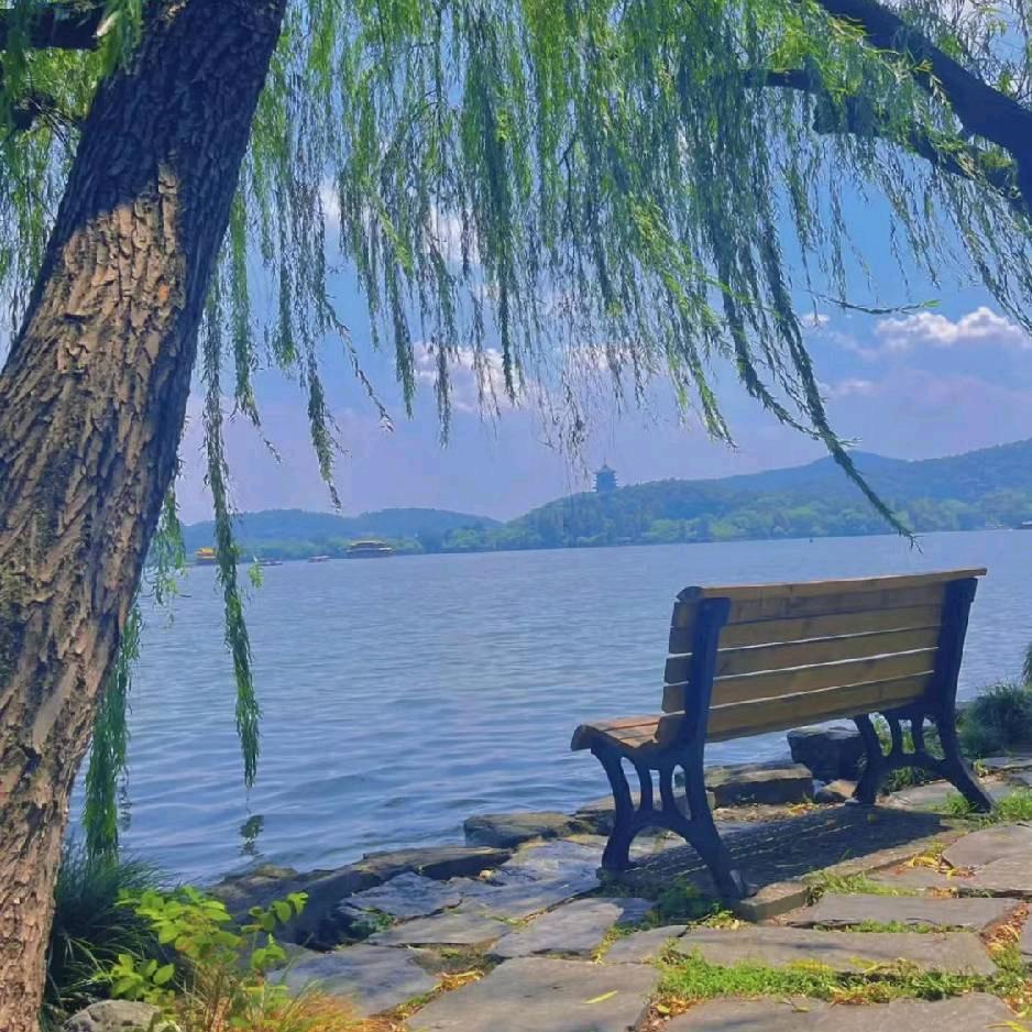 一品书童