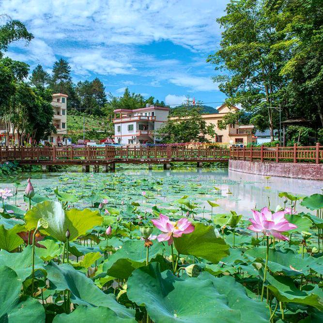 温暖乡村（乡村生活）