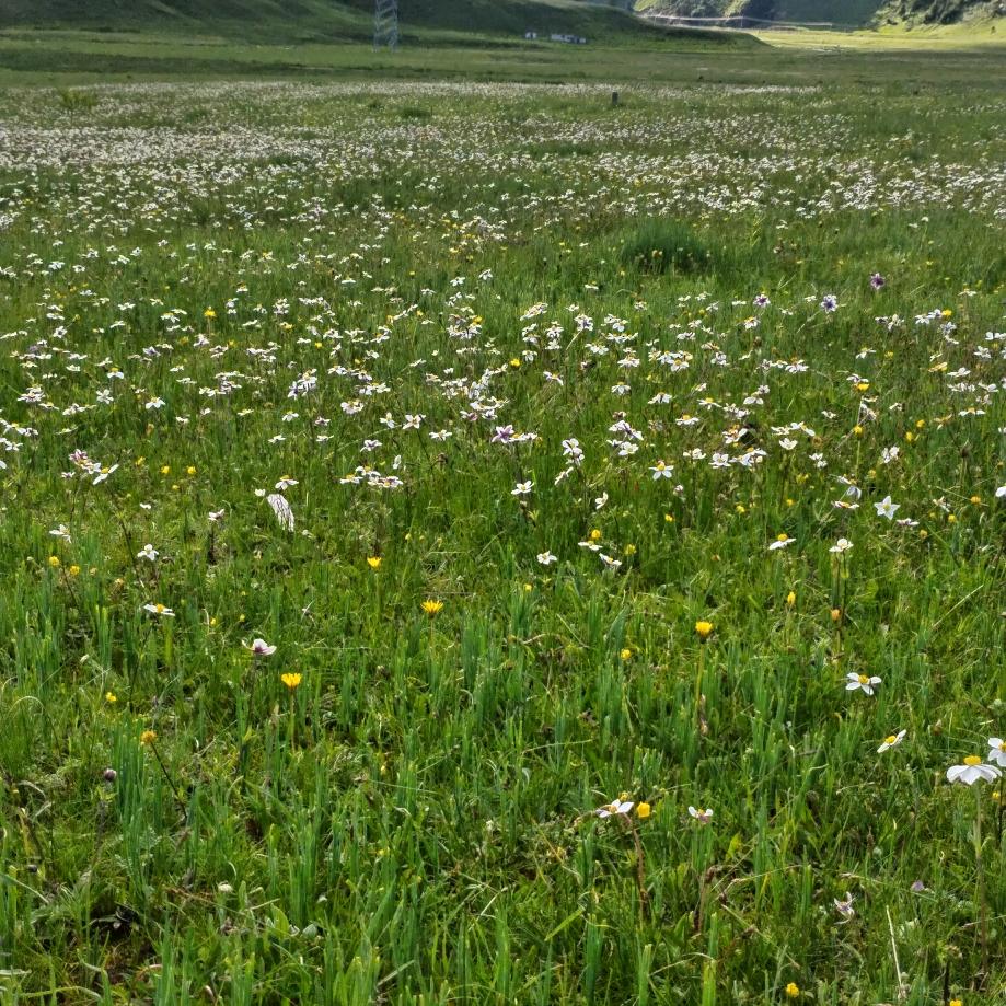 ໑ຼₒ₂₃ღ᭄好运连连🕊꧔ꦿ᭄💞