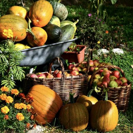 花满坡农产品馆