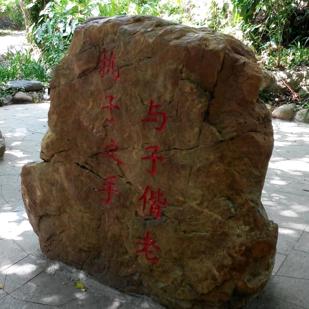 小竹子$