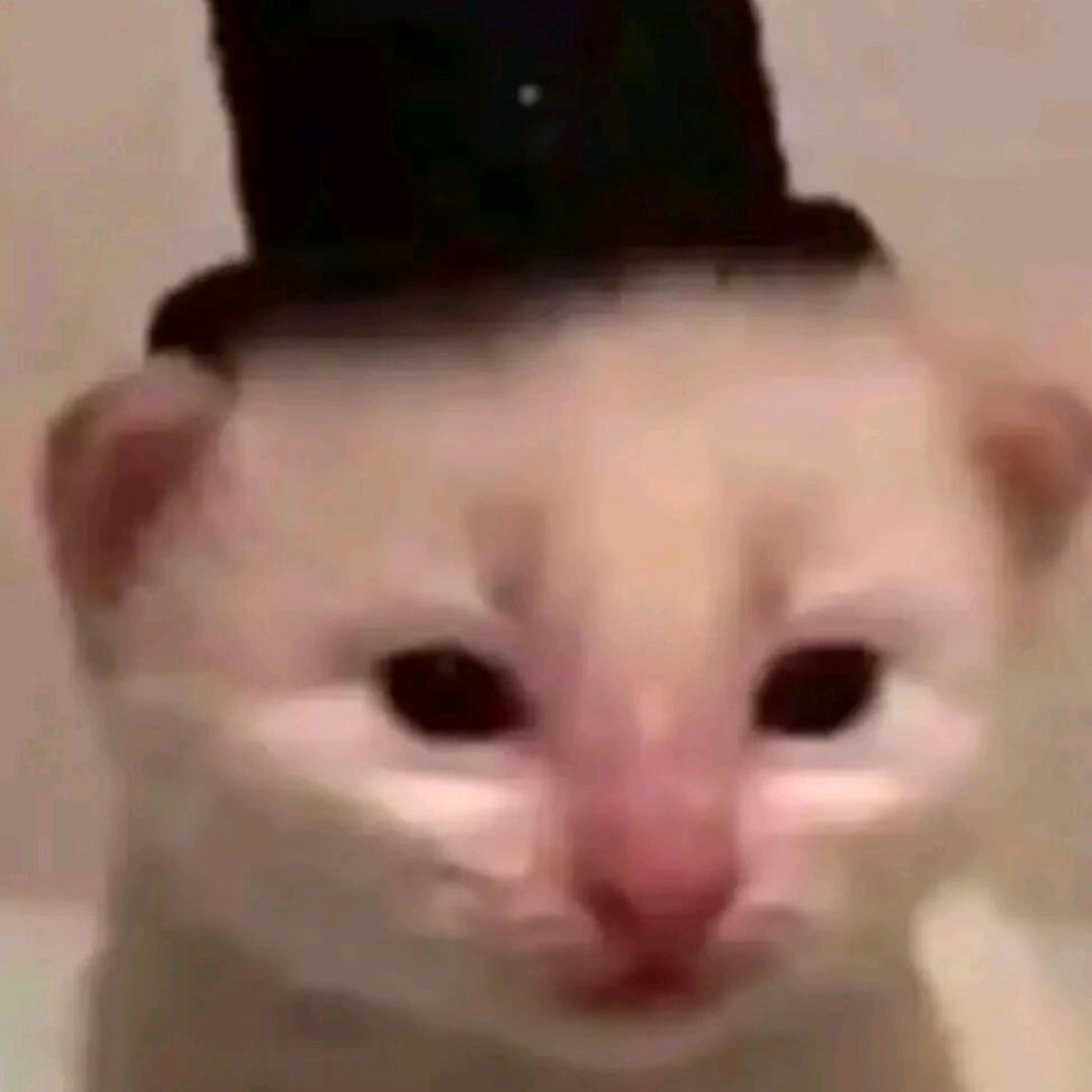 纯良