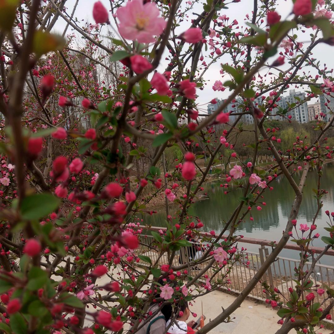 我爱我家 开心永远