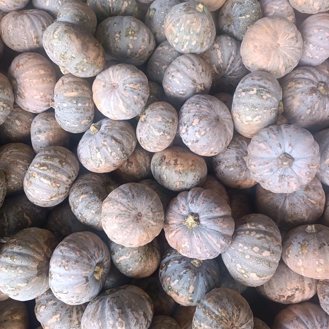 石云林诚信做人，真心做事