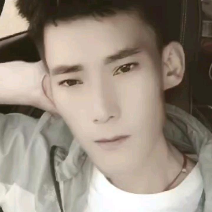 🥸当牛马的张总