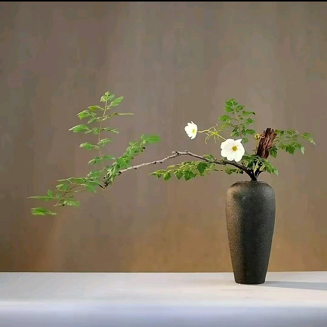 半山伴水半亩田