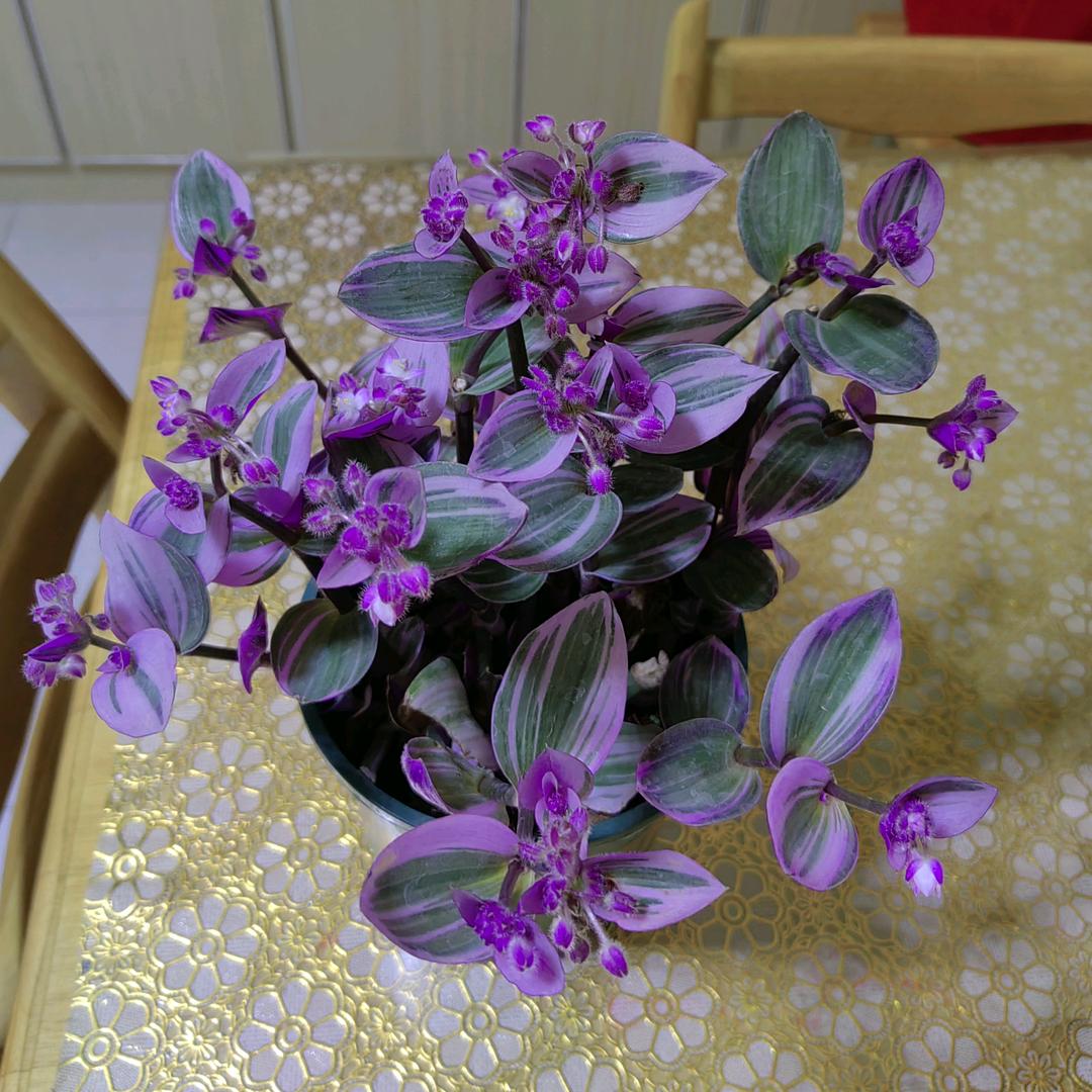 开心快乐每一天😊