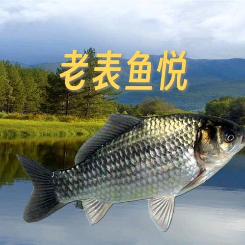 老表鱼悦