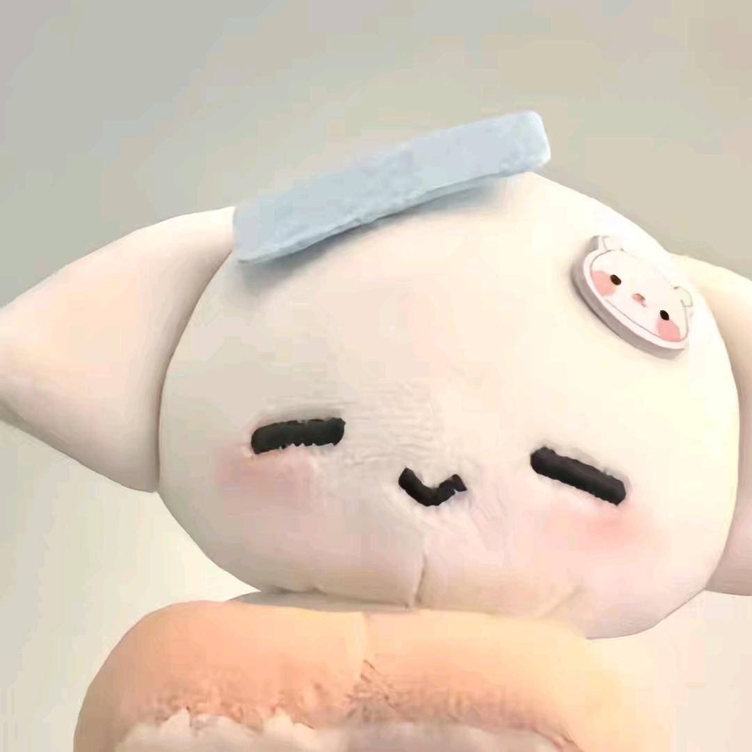 笨鸟🥰