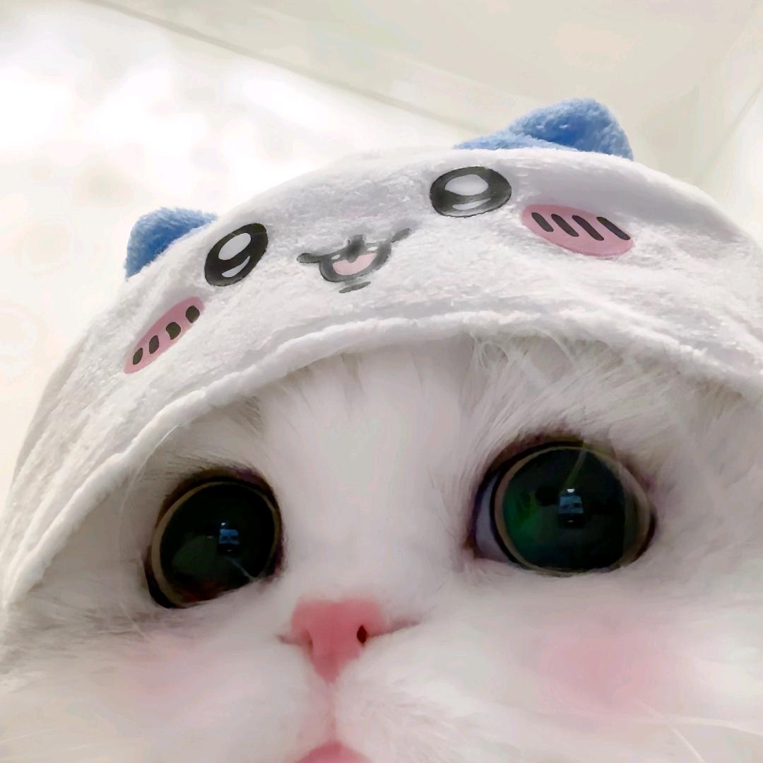 yyi