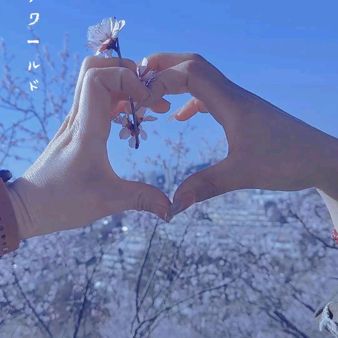 我的后半生
