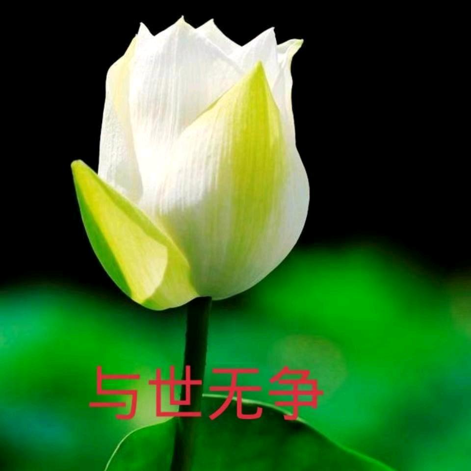 向幸福出发